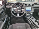 2022 Mustang Thumbnail 5
