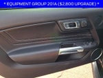 2022 Mustang Thumbnail 12