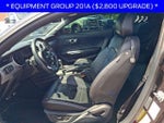 2022 Mustang Thumbnail 13