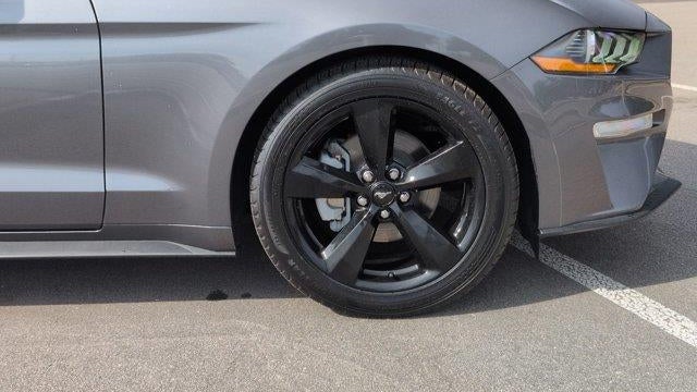2023 Ford Mustang EcoBoost