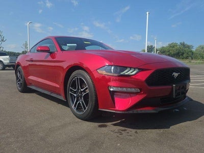 2023 Ford Mustang Ecoboost 2DR Fastback