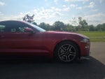2023 Mustang Thumbnail 4