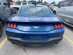 2024 Mustang Thumbnail 7