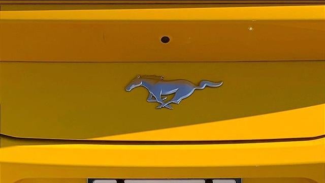 2024 Ford Mustang EcoBoost