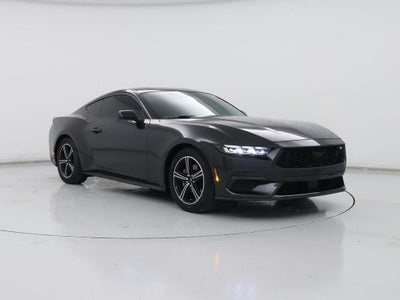 2024 Ford Mustang Ecoboost Premium 2DR Fastback