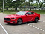 2024 Mustang Thumbnail 19