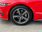 2024 Mustang Thumbnail 24