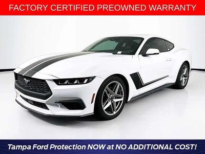 2024 Ford Mustang Ecoboost Premium 2DR Fastback