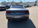2024 Mustang Thumbnail 6