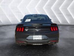 2024 Mustang Thumbnail 2