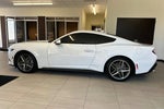 2024 Mustang Thumbnail 7