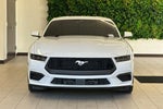 2024 Mustang Thumbnail 9