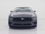 2024 Mustang Thumbnail 5
