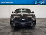 2024 Mustang Thumbnail 4