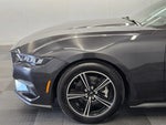 2024 Mustang Thumbnail 10