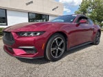 2025 Mustang Thumbnail 5