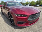 2025 Mustang Thumbnail 12