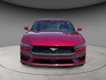 2025 Mustang Thumbnail 15