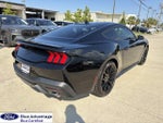 2025 Mustang Thumbnail 10