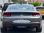 2025 Mustang Thumbnail 5