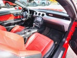 2017 Mustang Thumbnail 14