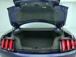 2018 Mustang Thumbnail 20