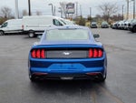 2018 Mustang Thumbnail 4