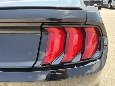 Photo of a 2018 Ford Mustang Ecoboost 2DR Fastback for sale