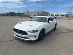 2019 Mustang Thumbnail 2