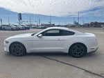 2019 Mustang Thumbnail 3