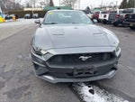 2019 Mustang Thumbnail 1