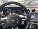 2019 Mustang Thumbnail 3