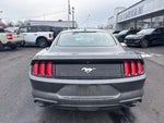 2019 Mustang Thumbnail 7