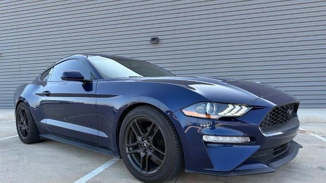 Preowned 2019 Ford Mustang EcoBoost for Sale