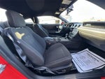 2019 Mustang Thumbnail 3
