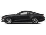 2019 Mustang Thumbnail 3
