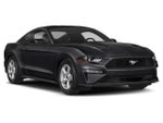 2019 Mustang Thumbnail 6