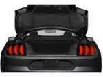 2019 Mustang Thumbnail 12