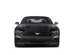 2019 Mustang Thumbnail 4