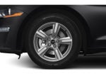 2019 Mustang Thumbnail 11