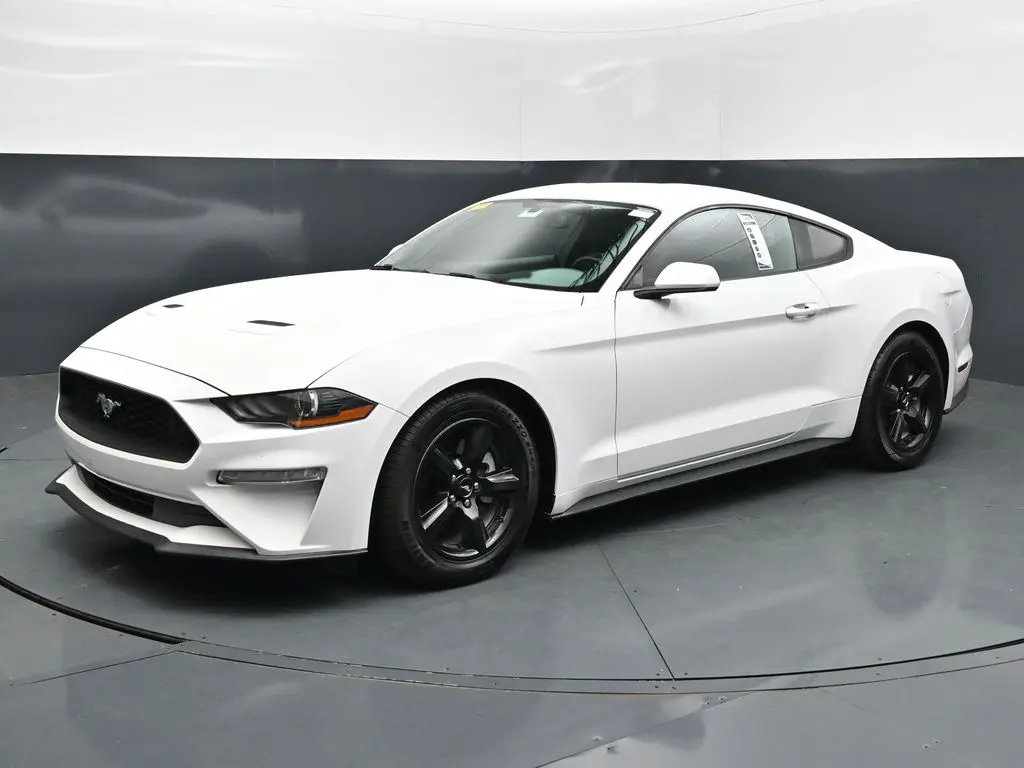 2019 Ford Mustang
