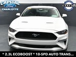 2019 Mustang Thumbnail 2