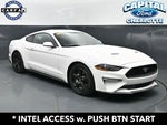 2019 Mustang Thumbnail 3