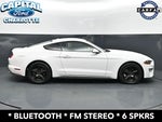 2019 Mustang Thumbnail 8