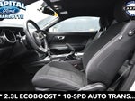 2019 Mustang Thumbnail 9