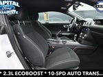 2019 Mustang Thumbnail 10