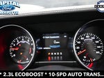 2019 Mustang Thumbnail 11