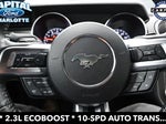 2019 Mustang Thumbnail 16
