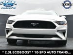 2019 Mustang Thumbnail 18