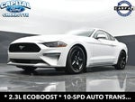 2019 Mustang Thumbnail 19
